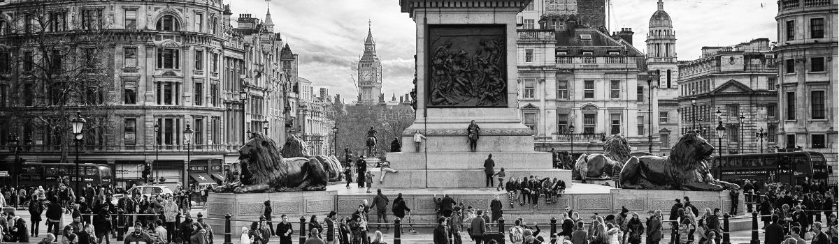 trafargar.jpg